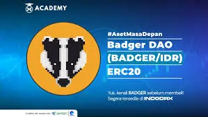 Badger DAO